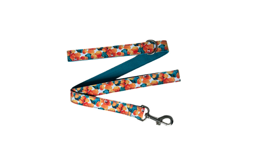 Laisse - Fleurs Sauvages