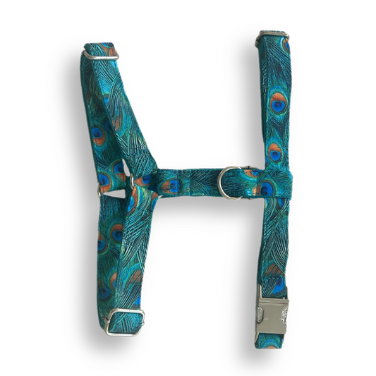 Harnais - Paon
